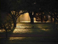 Vianopolis twilight