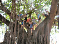 wild painted youth in tree