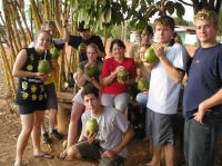 yummy green coconut juice to drink!